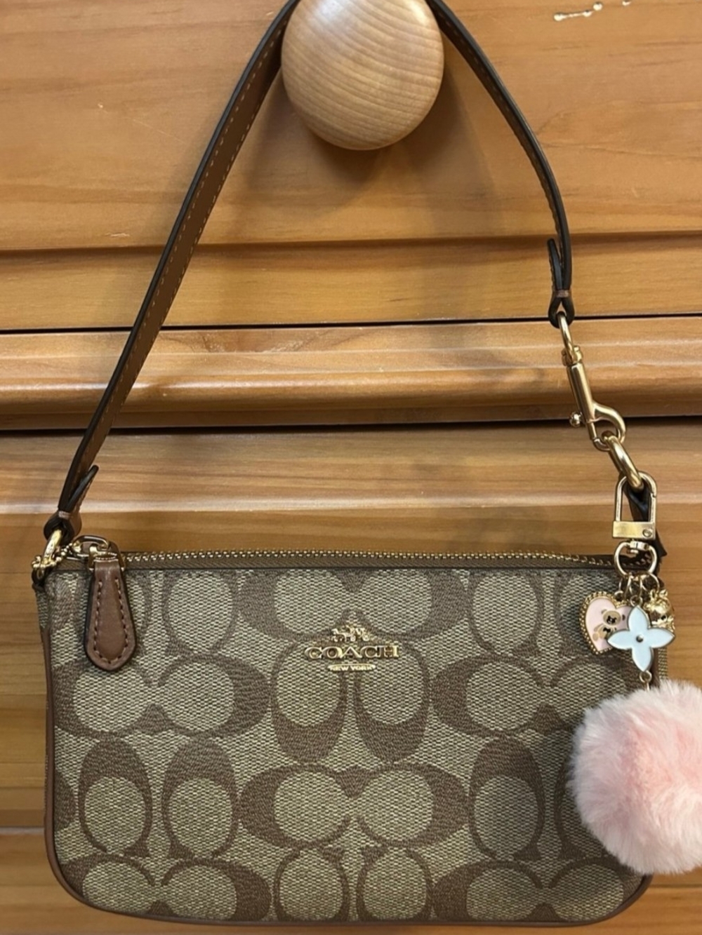 Coach Brown Signature Nolita 19
